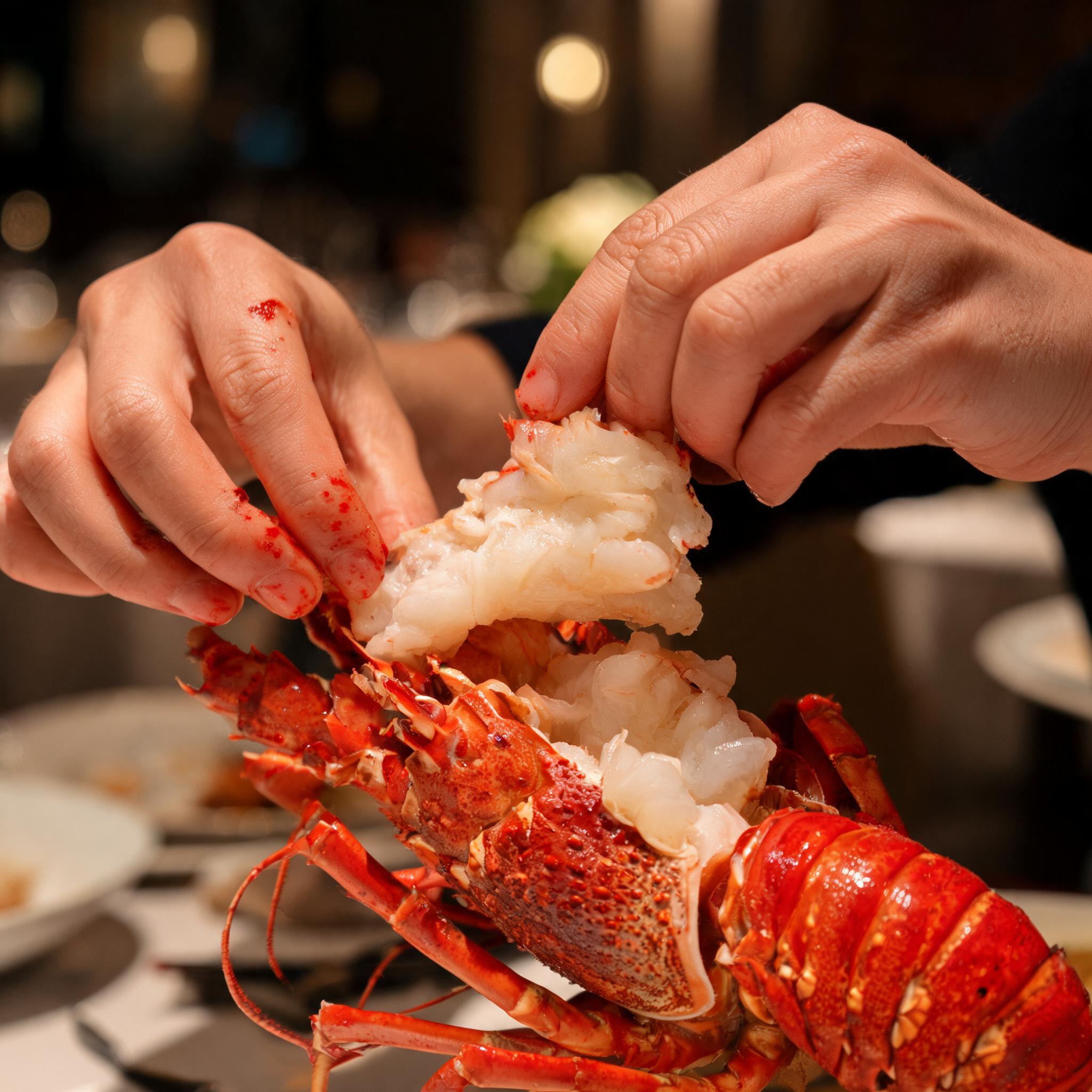 Best lobster dinner in Bangkok Sukhumvit?