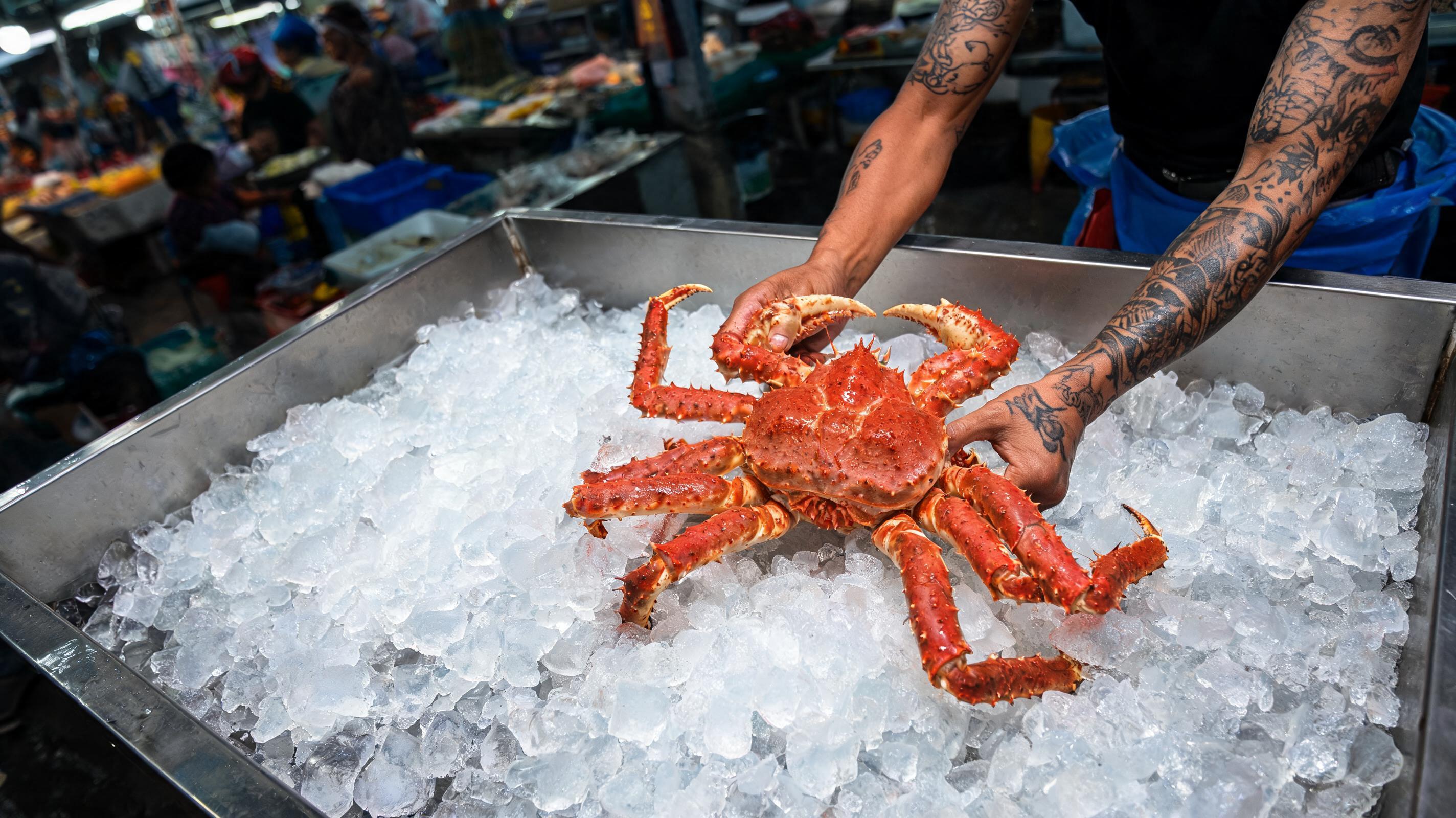 Where can I find live king crab in Bangkok?